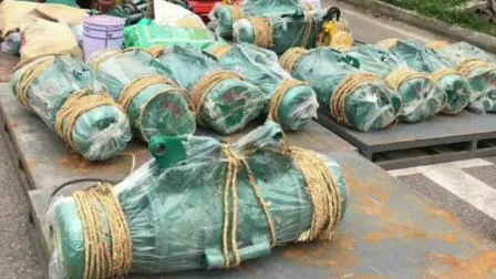 1tonne 9m câble électrique tirant un palan avec télécommande